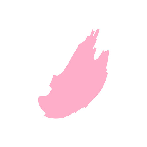 Carrie's Cosmo Studio Gel™