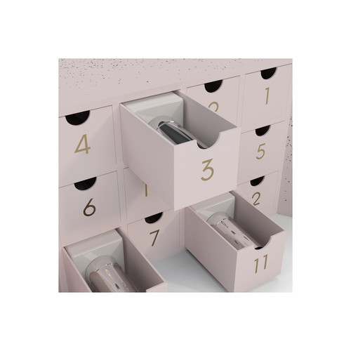 12 Days of BIAB™ CALENDAR