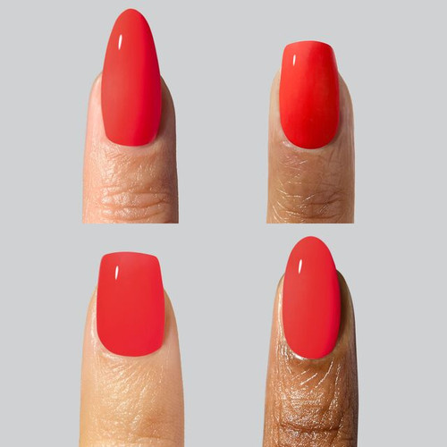 Rodeo Club Collection_Mini_2