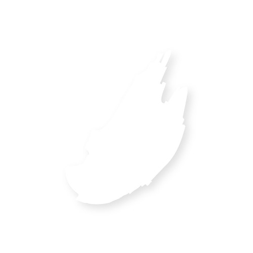 Daisy Studio Gel™