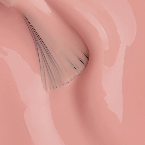 Teddy Hard BIAB™_3 Teddy Hard BIAB™_3