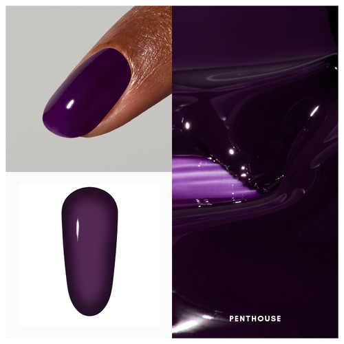 The Penthouse Collection