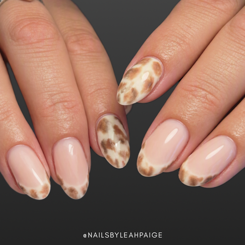 The Tortie Set Nail Art Kit