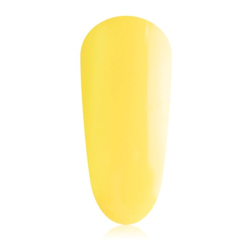 Papaya_colour_gelpot_1