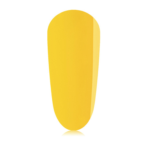 Flashing Lights_colour_gelpot_1 Flashing Lights_colour_gelpot_1