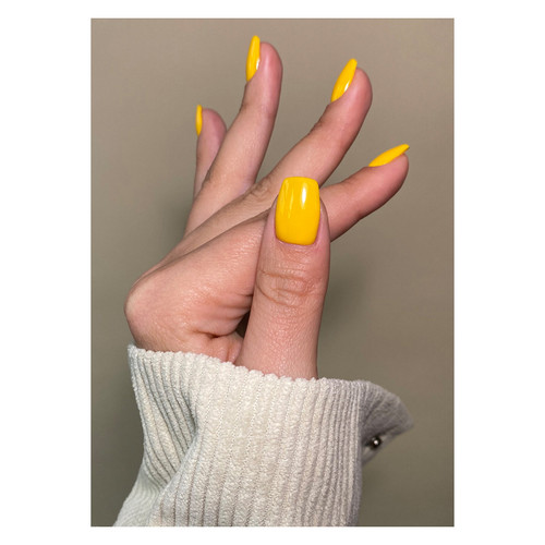 Flashing Lights_colour_gelpot_2 Flashing Lights_colour_gelpot_2