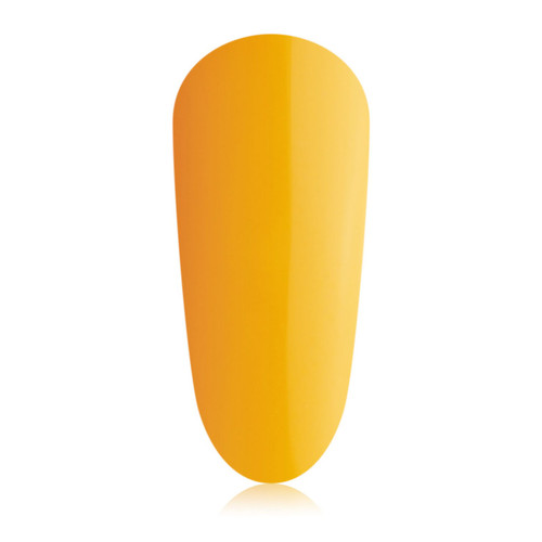 Butternut Mini_colour_gelpot_1