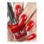 Peacci Holly_colour_gelpot_2