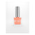 Peacci Apricot_colour_gelpot_1
