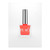 Peacci Twiggy_colour_gelpot_1