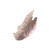 Rose Gold Studio Gel™_colour_gelpot_2