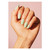 Matcha Latte_colour_gelpot_2