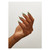 Sage Chrome Pigment_Essentials_5
