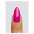 Crush_colour_gelpot_3