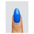 Anthem_colour_gelpot_3