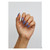 Disco_colour_gelpot_2 Disco_colour_gelpot_2