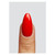 Ketchup Mini