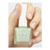 Peacci TLC Base Coat_colour_gelpot_2