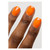 Neon_colour_gelpot_3