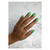 Bottega HEMA-Free Paint_colour_gelpot_2