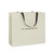 TGB Retail Bag L - 10 Pack