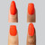 Rodeo Club Collection_4