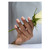 Spirited BIAB™ TPO & Hema-Free
