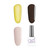 The Blonde Tortie Nail Art Kit