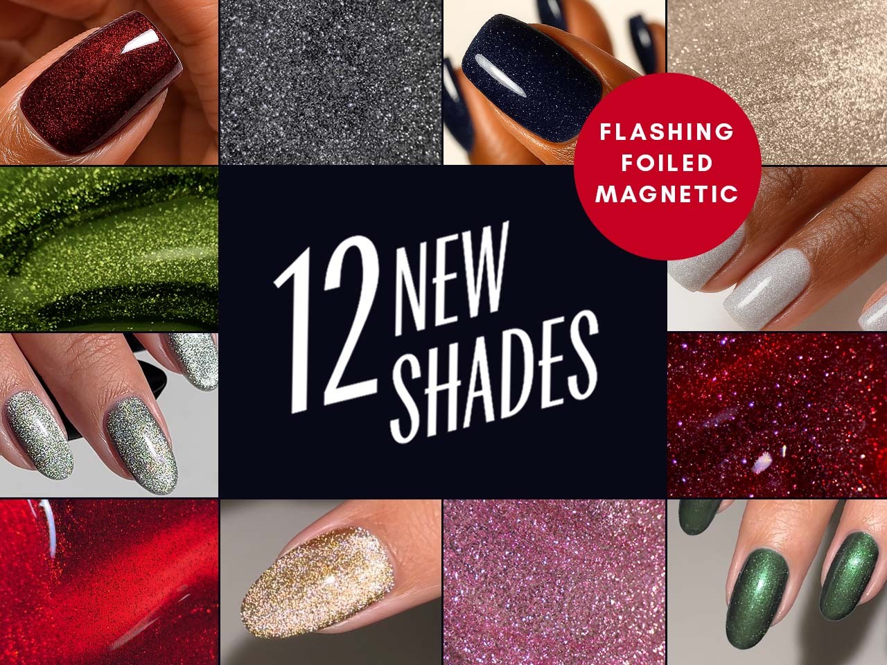 MEET THE STARS OF TINSELTOWN 