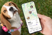 Image of Life360 Pet GPS- Pink Punch on Beagle with mobile device on Life360 map showing the location