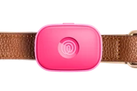 Image of Life360 Pet GPS - Pink Punch on a brown collar