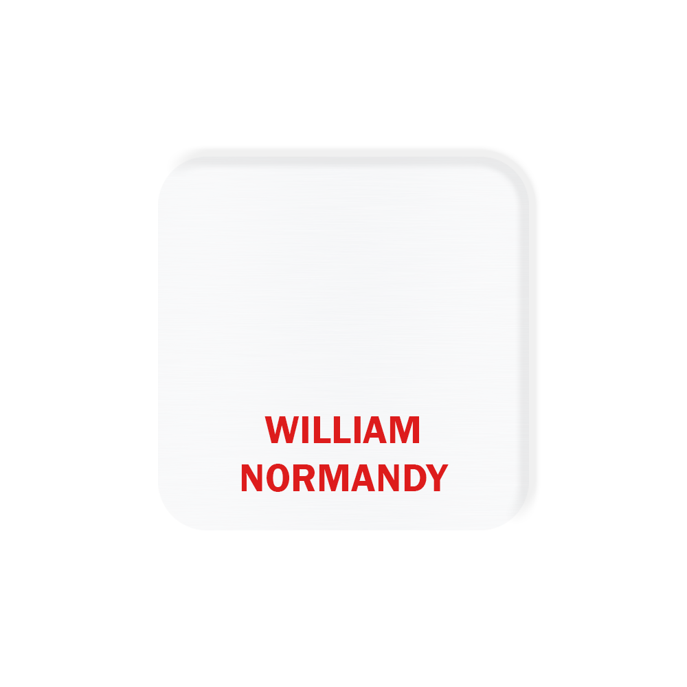 Aspen Metal Name Badge (Custom sized between 3 and 6 sq. in.)