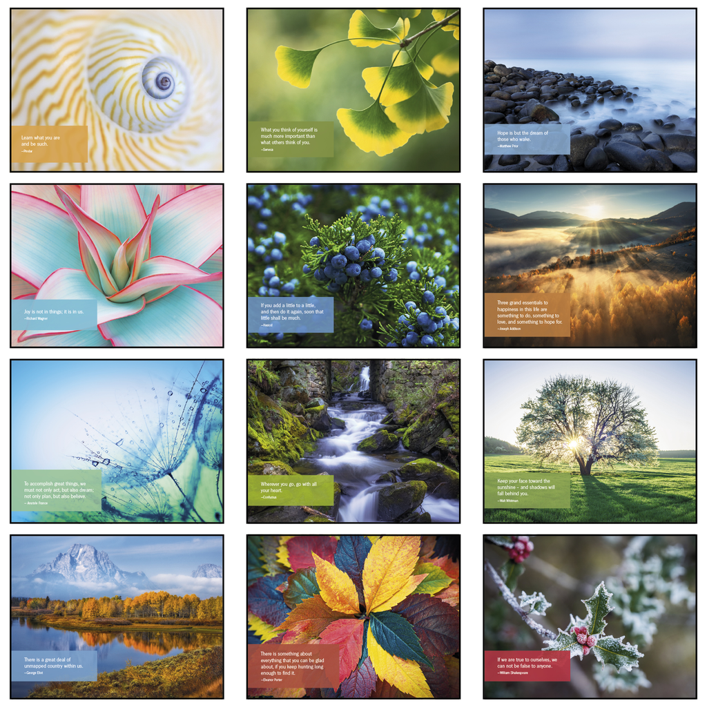 lnspiration Wall Calendar: 2027 Spiral Bound