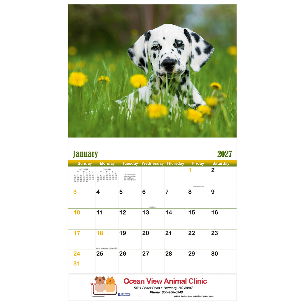 Puppies & Kittens Wall Calendar: 2027 Spiral Bound