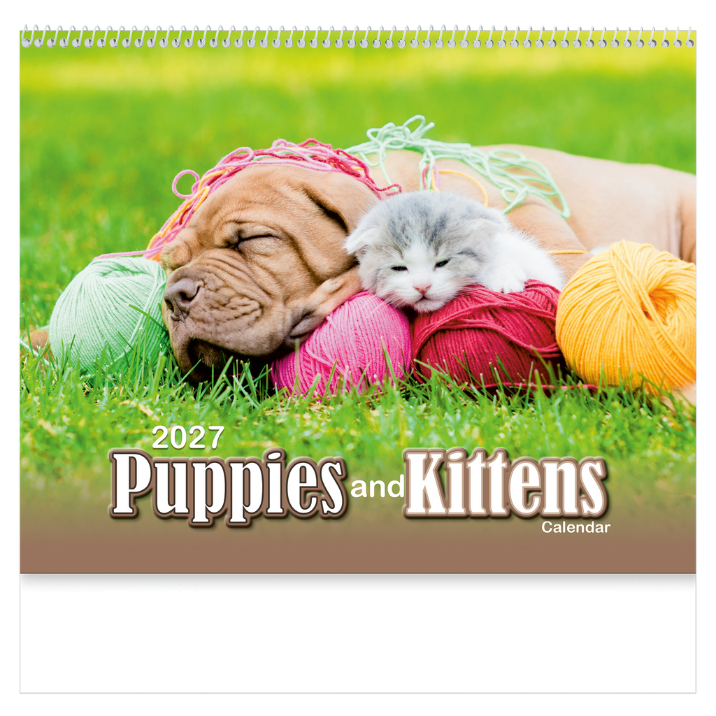 Puppies & Kittens Wall Calendar: 2027 Spiral Bound