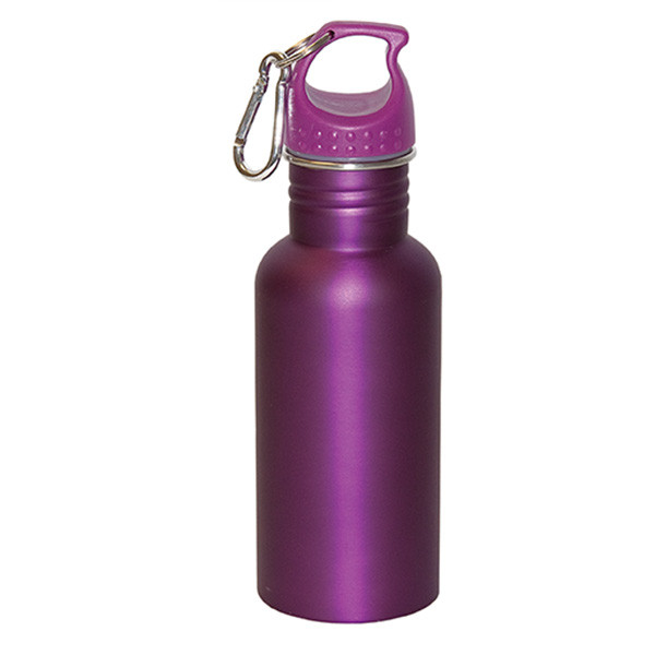 Wide Mouth 500 Ml (17 Fl. Oz.) Stainless Steel Water Bottle