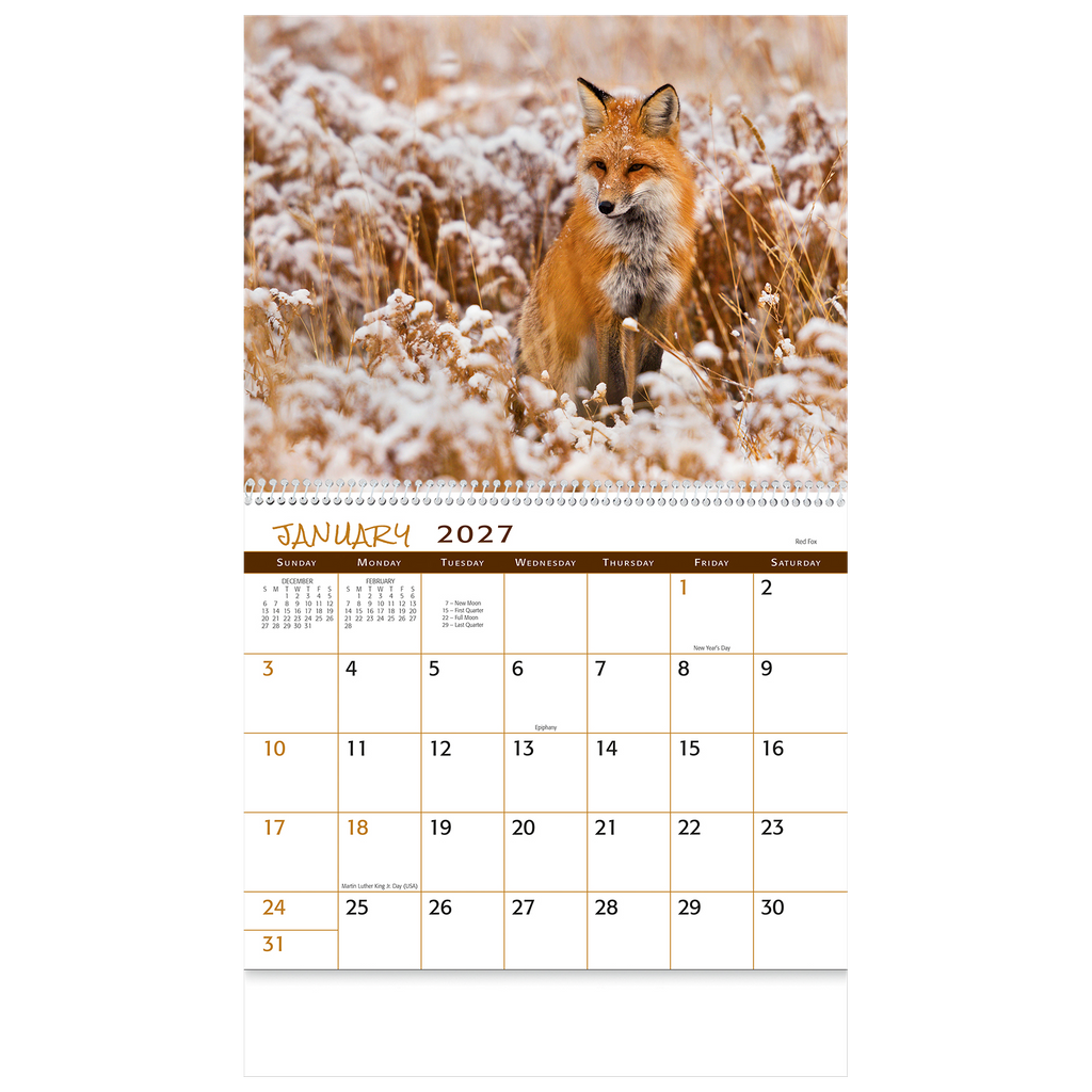 Wildlife Wall Calendar: 2027 Spiral Bound
