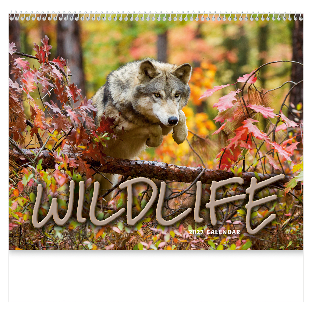 Wildlife Wall Calendar: 2027 Spiral Bound