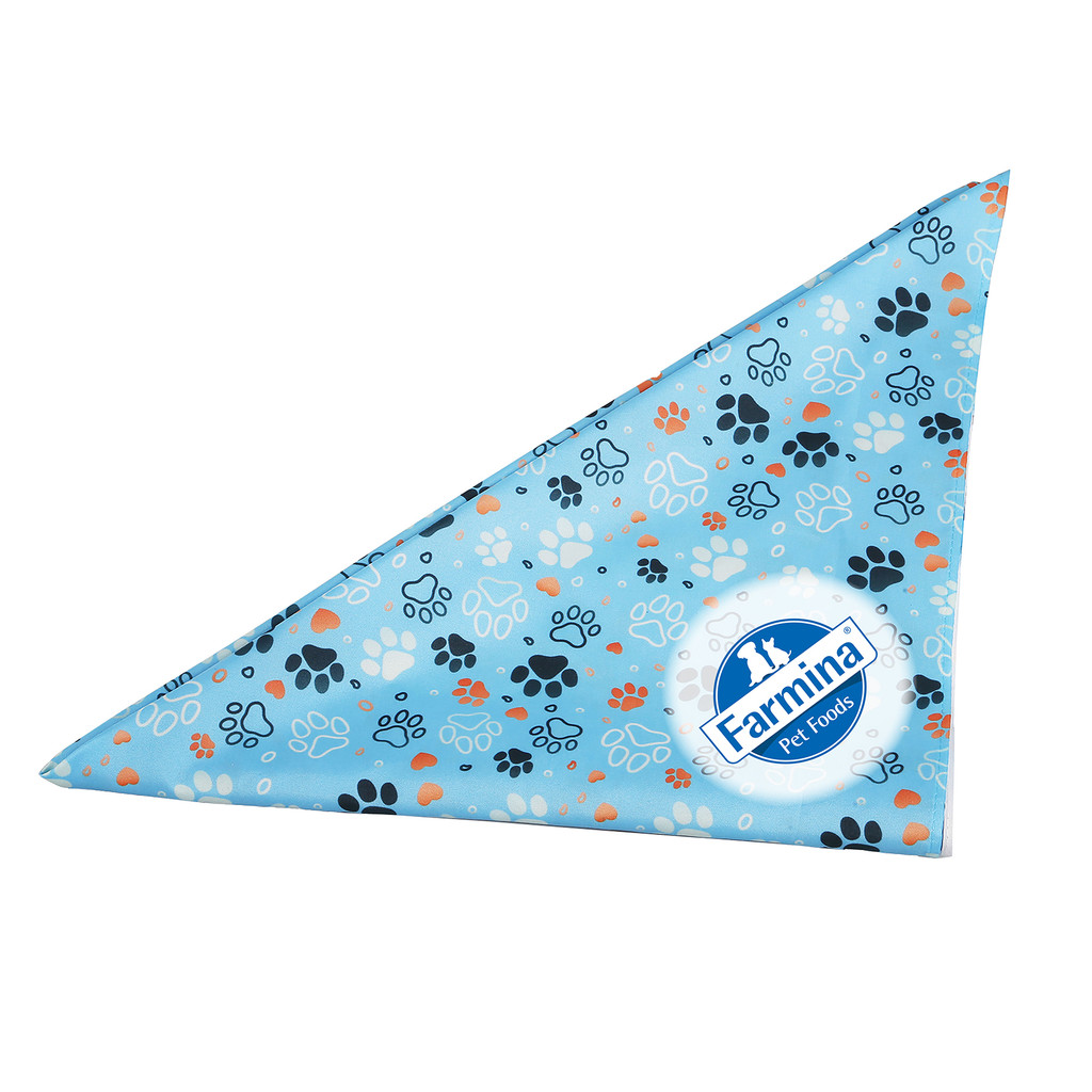 Sublimated RPET Bandana