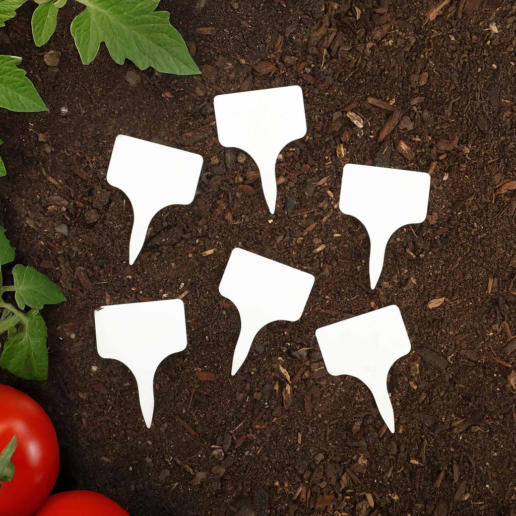 Evergreen 6 Pc. Garden Stake Set