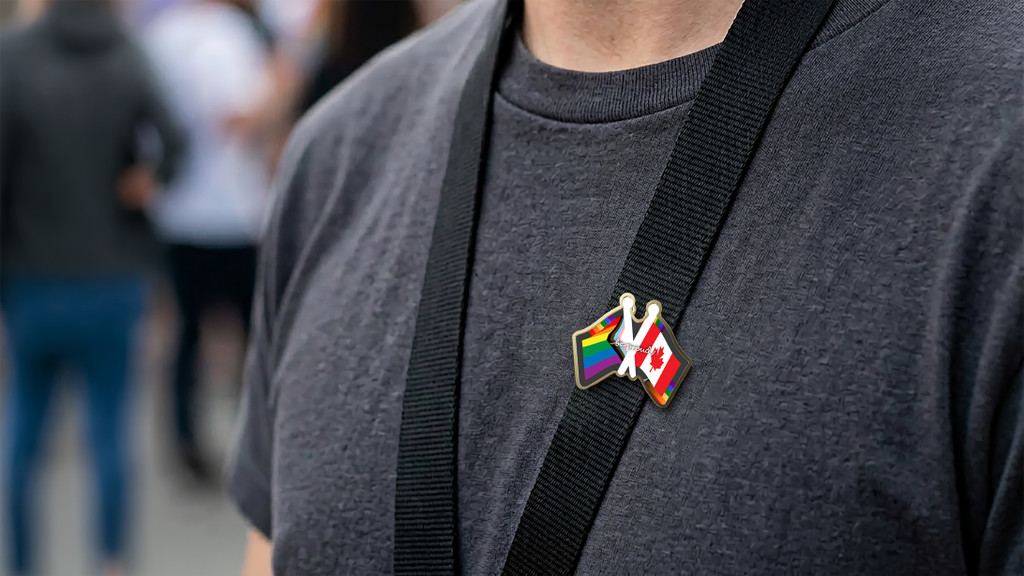 Digistock Lapel Pins: Double Flag