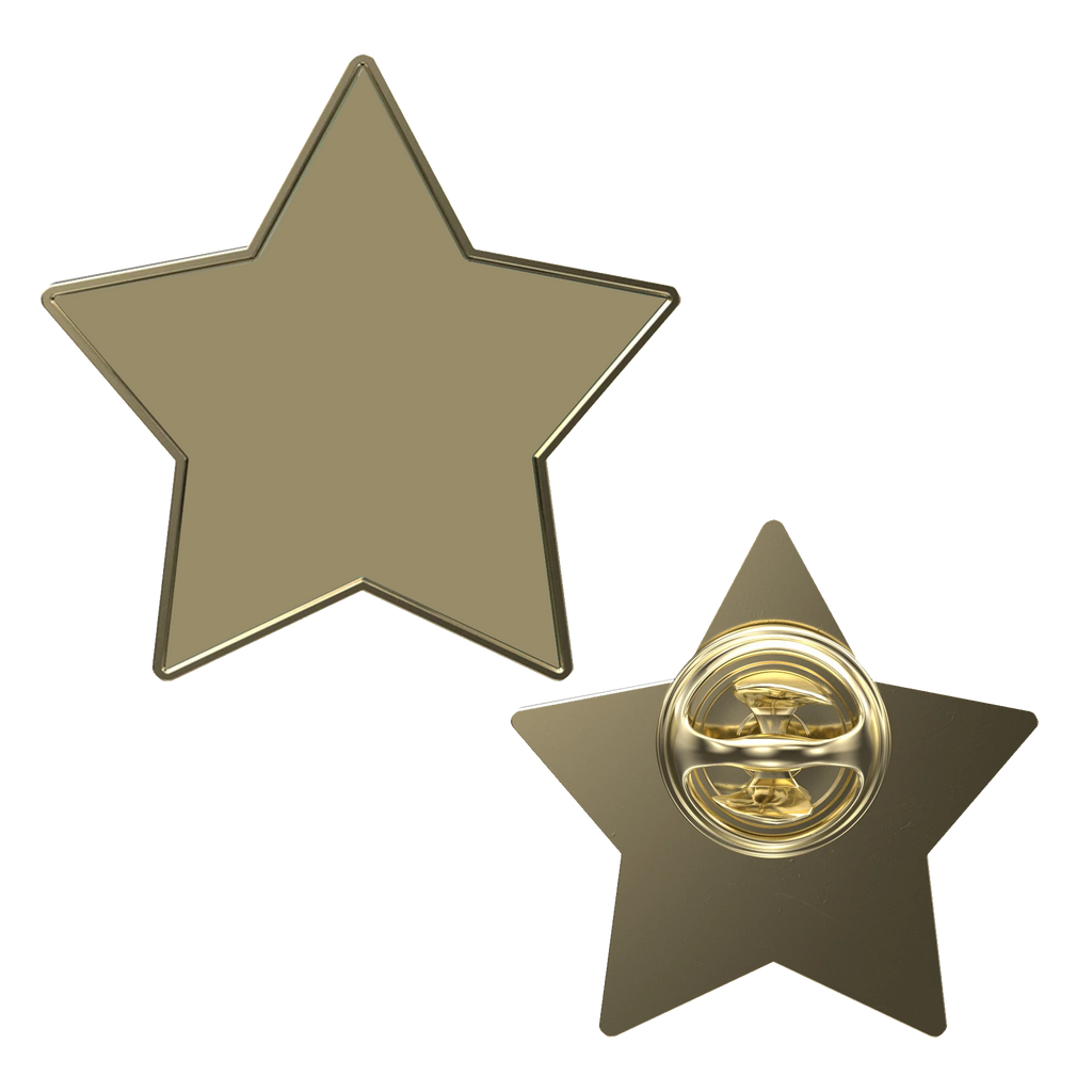 Digistock Lapel Pins: Star