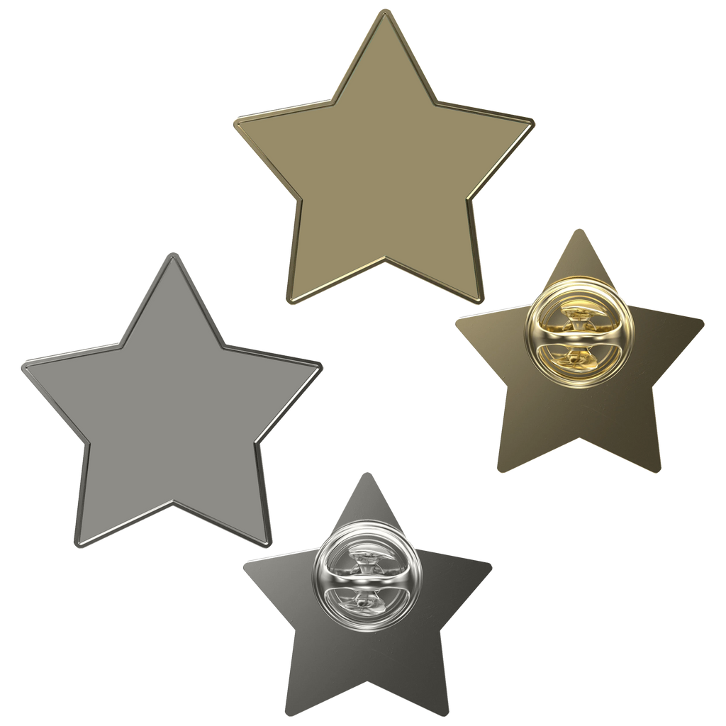 Digistock Lapel Pins: Star