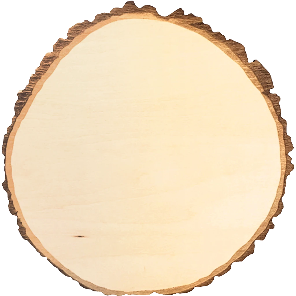 Live Edge Wood Coaster