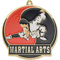 Stock Gold Enamel Sports Medals: Martial Arts