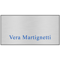 Hollywood Plastic Express Name Badge (Standard size 1-1/2" x 3")