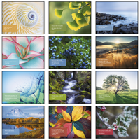 lnspiration Wall Calendar: 2027 Spiral Bound