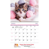 Puppies & Kittens Wall Calendar: 2025 Spiral Bound