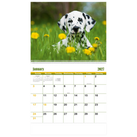 Puppies & Kittens Wall Calendar: 2027 Spiral Bound