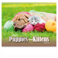 Puppies & Kittens Wall Calendar: 2027 Spiral Bound